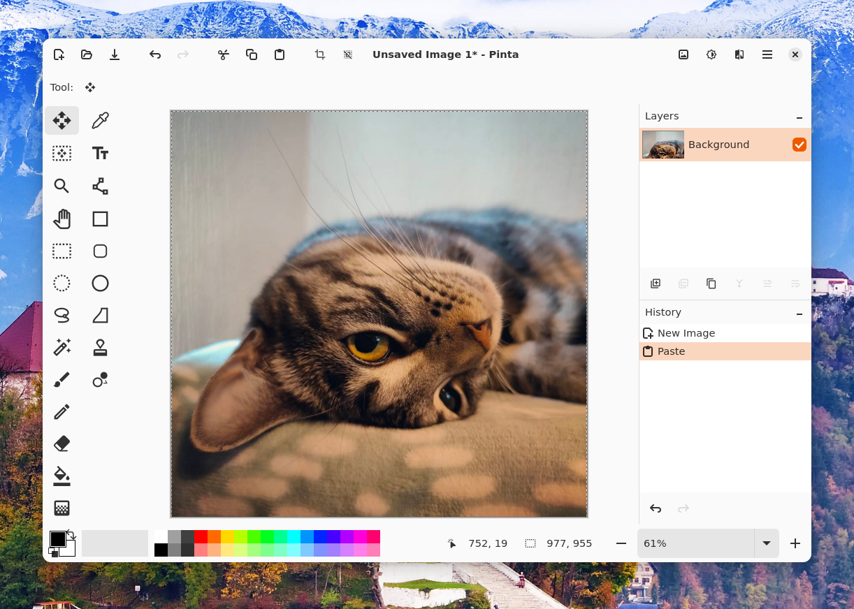 Окно Pinta 3.x в светлой теме с фотографией, палитрой цветов, панелями Layers и History