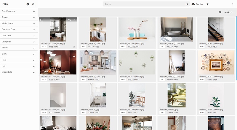 Веб-клиент Daminion с панелью фильтров и сеткой цифровых активов