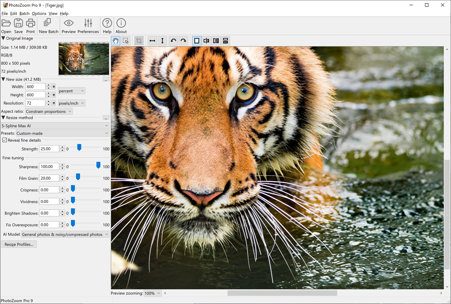 Главное окно PhotoZoom Pro 9 в Windows с панелью размера и большим предпросмотром изображения
