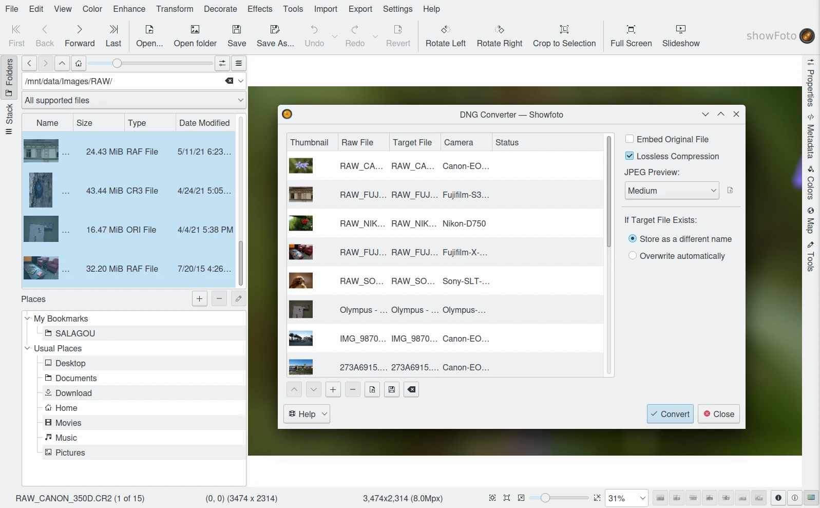 DNG Converter в Showfoto со списком RAW-файлов и параметрами конвертации