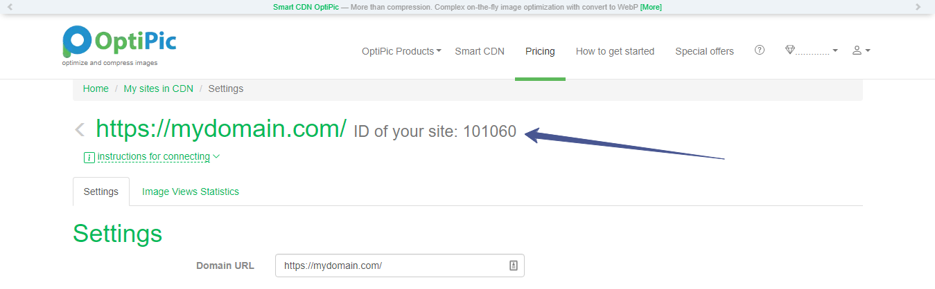 Страница настроек подключённого сайта в OptiPic CDN с Site ID и вкладкой статистики просмотров
