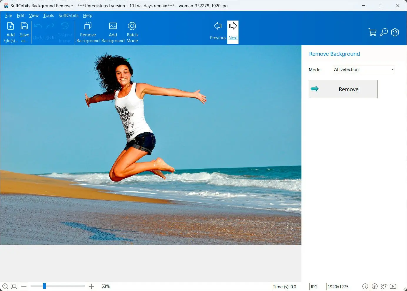 Photo Background Remover в режиме AI Detection перед автоматическим удалением фона