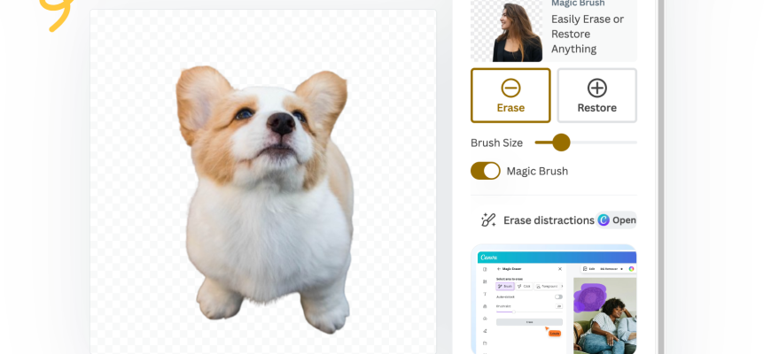 remove-bg.ai (remove.bg)
