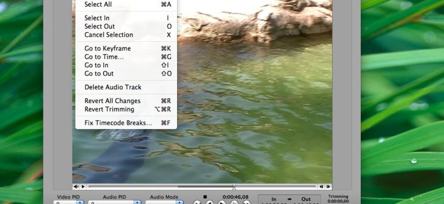 MPEG Streamclip