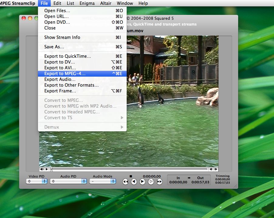 Меню File MPEG Streamclip с командами открытия, сохранения и экспорта
