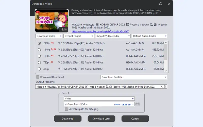 Окно Download Video в Ant Download Manager с вариантами качества и кодеков