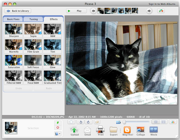Экран редактирования Picasa 3 на Mac с вкладкой Effects и крупным предпросмотром фотографии
