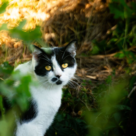 Фотография сделана на nikon d7200 Фотография сделана на nikon d7200