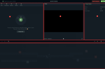 EaseUS Video Editor