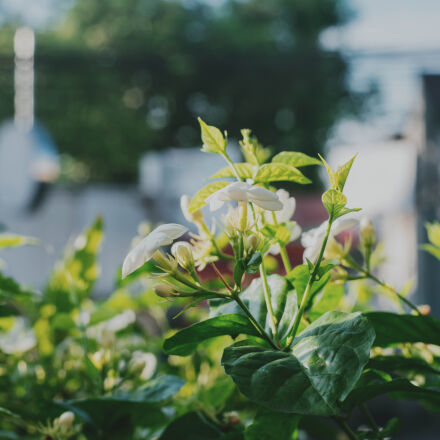 Фотография сделана на nikon d3400