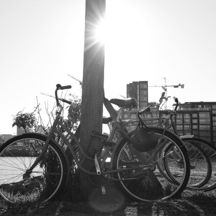Фотография сделана на fujifilm x100vi Фотография сделана на fujifilm x100vi
