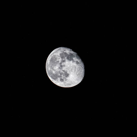 Фотография сделана на canon eos 250d Фотография сделана на canon eos 250d
