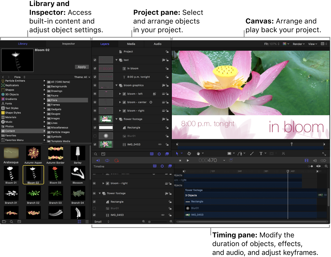 Основное окно Apple Motion с Library, Project pane, Canvas и Timeline