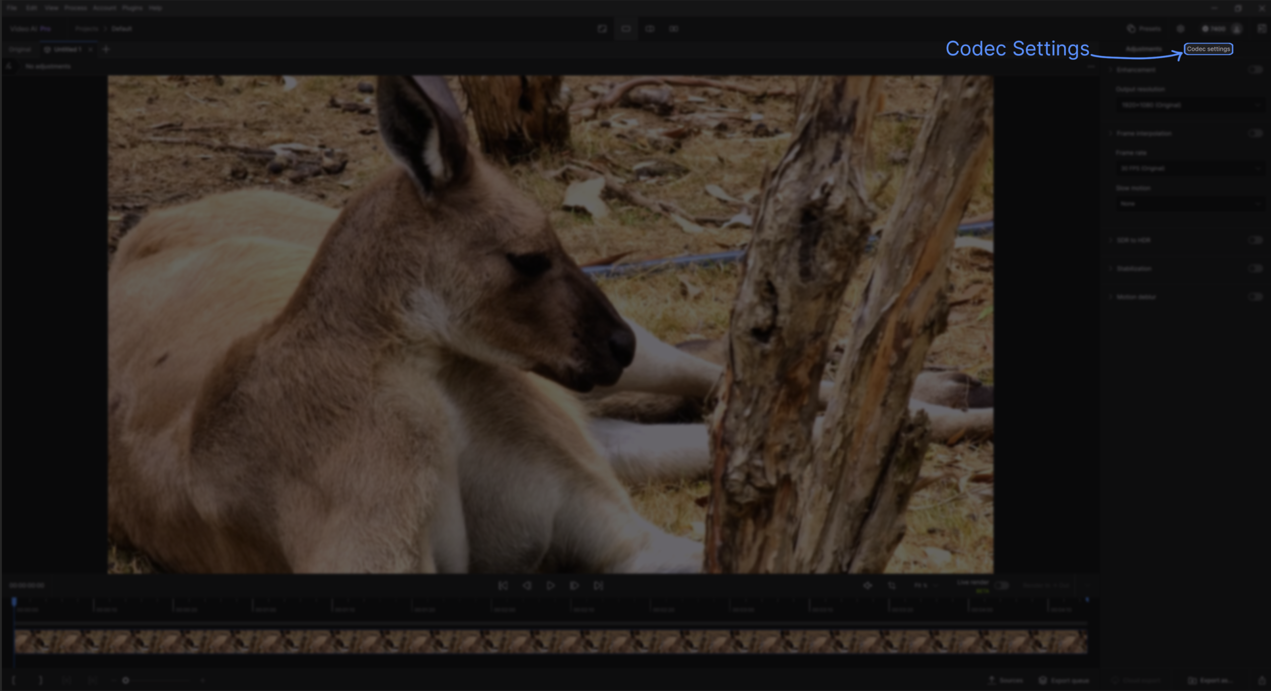 Панель Codec Settings в Topaz Video AI