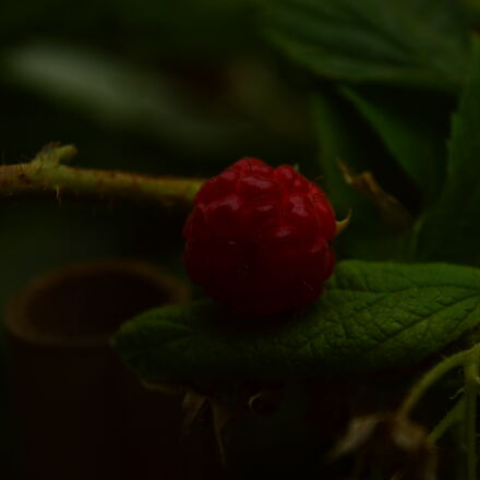 Фотография сделана на nikon d3200