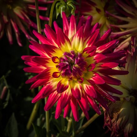Фотография сделана на pentax k 1 mark ii Фотография сделана на pentax k 1 mark ii