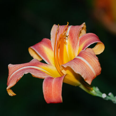 Фотография сделана на nikon d7000 Фотография сделана на nikon d7000