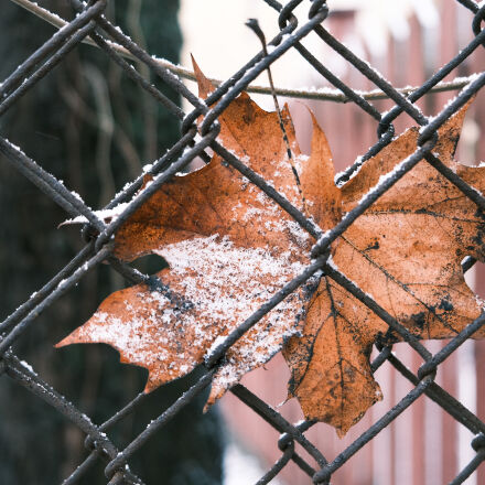 Фотография сделана на fujifilm x t30 ii Фотография сделана на fujifilm x t30 ii