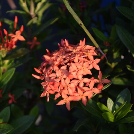 Фотография сделана на nikon d3300 Фотография сделана на nikon d3300