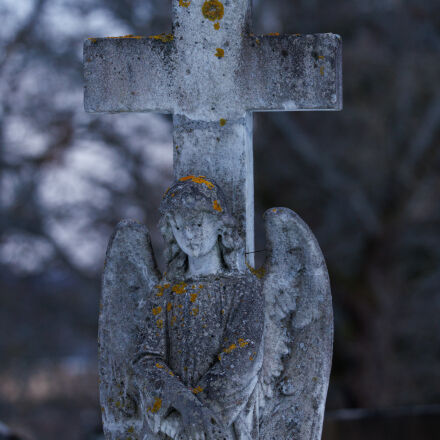 Фотография сделана на sony cyber shot dsc rx100m7