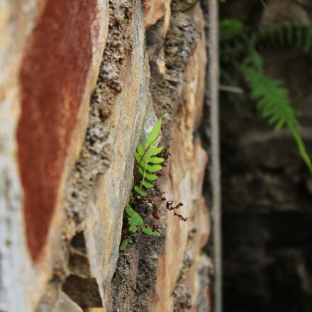 Фотография сделана на canon eos 2000d Фотография сделана на canon eos 2000d