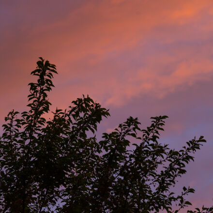 Фотография сделана на canon eos 5d mark iii Фотография сделана на canon eos 5d mark iii