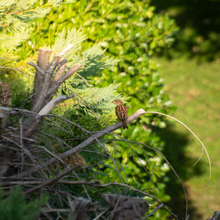Фотография сделана на nikon d7200 Фотография сделана на nikon d7200