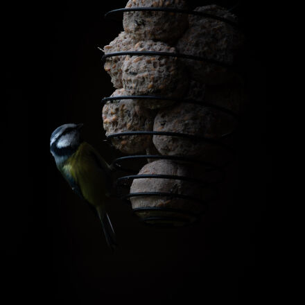 Фотография сделана на nikon z6 ii