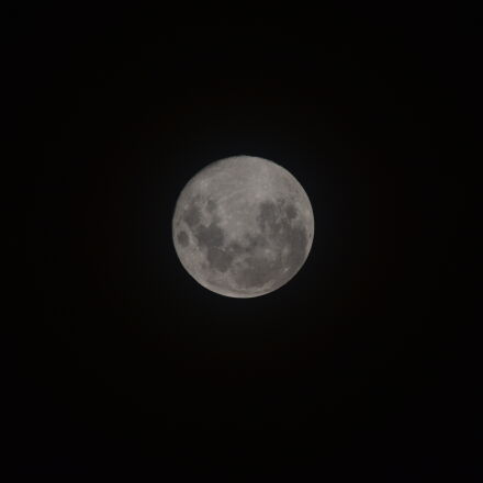 Фотография сделана на nikon d3500 Фотография сделана на nikon d3500