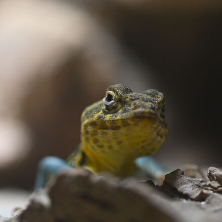 Фотография сделана на nikon z30 16 50mm dx vr