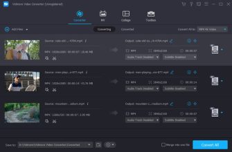 Vidmore Video Converter