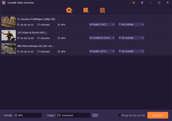 Очередь нескольких видео в TunesKit Video Converter