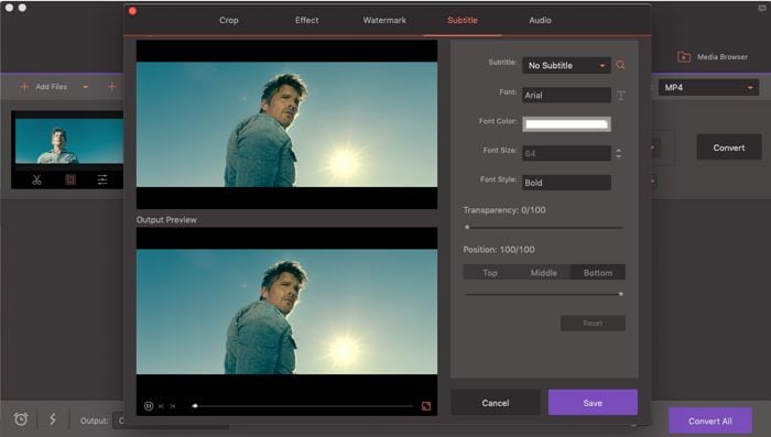 Редактор субтитров iSkysoft Video Converter Pro с предварительным просмотром