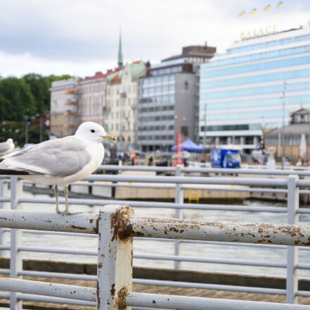Фотография сделана на nikon z30 16 50mm dx vr