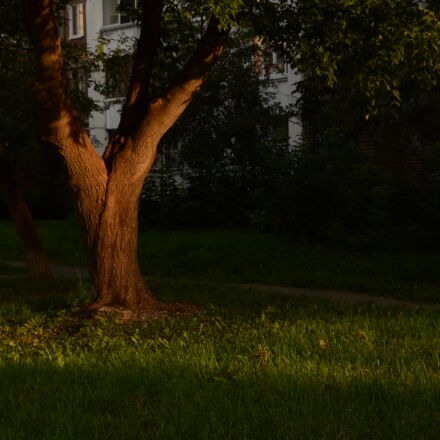Фотография сделана на nikon d5100 Фотография сделана на nikon d5100