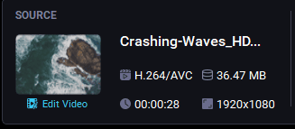 Панель Source в DivX Converter с кодеком H.264 AVC, размером, длительностью и разрешением 1920 на 1080