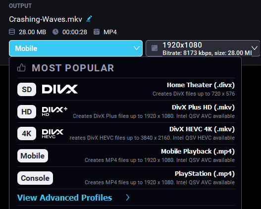 Список профилей DivX Converter: Home Theater, DivX Plus HD, DivX HEVC 4K, Mobile Playback и PlayStation