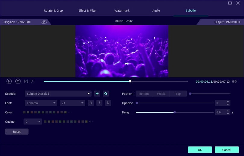 Редактор субтитров Eassiy Video Converter Ultimate