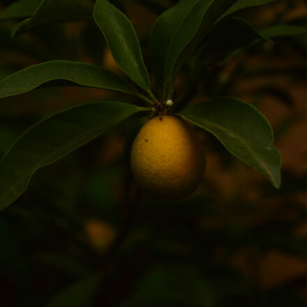 Фотография сделана на nikon d3200