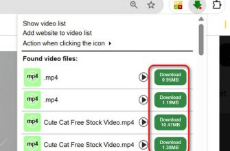 Video Downloader Professional