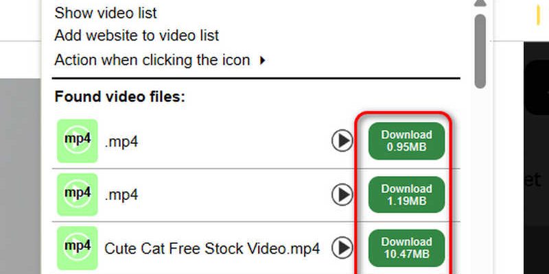 Video Downloader Professional