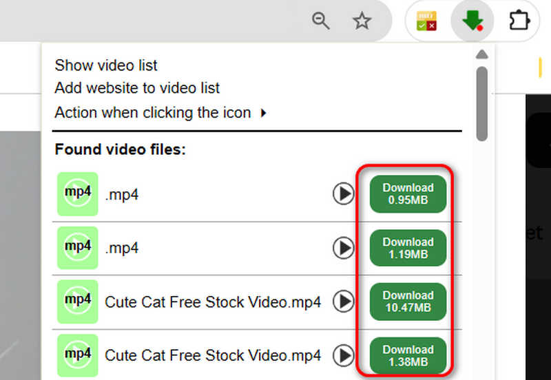 Панель Video Downloader Professional со списком найденных MP4 и кнопками загрузки