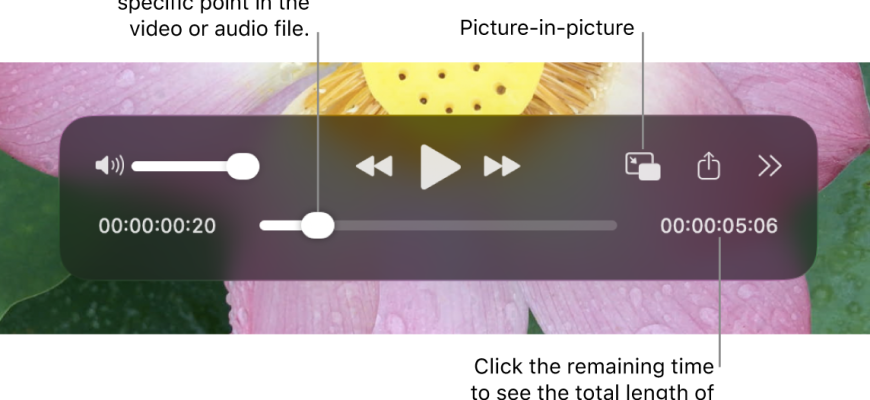 QuickTime Player