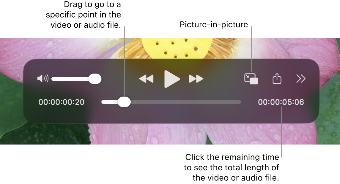 Панель воспроизведения QuickTime Player с громкостью, перемоткой, Picture in Picture и шкалой времени