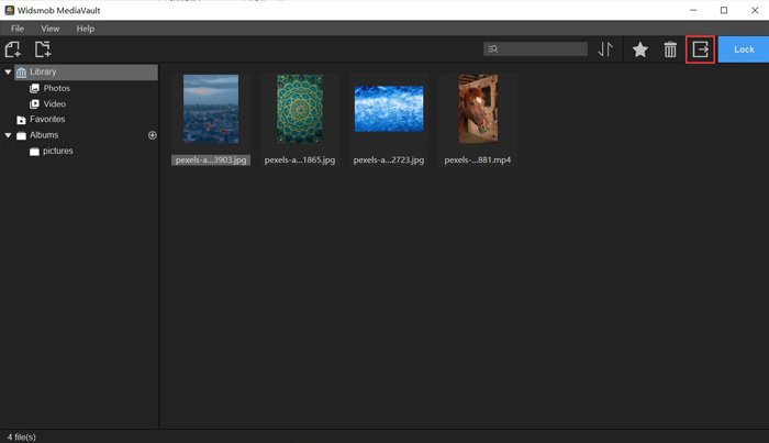 Кнопка экспорта в интерфейсе WidsMob MediaVault Windows