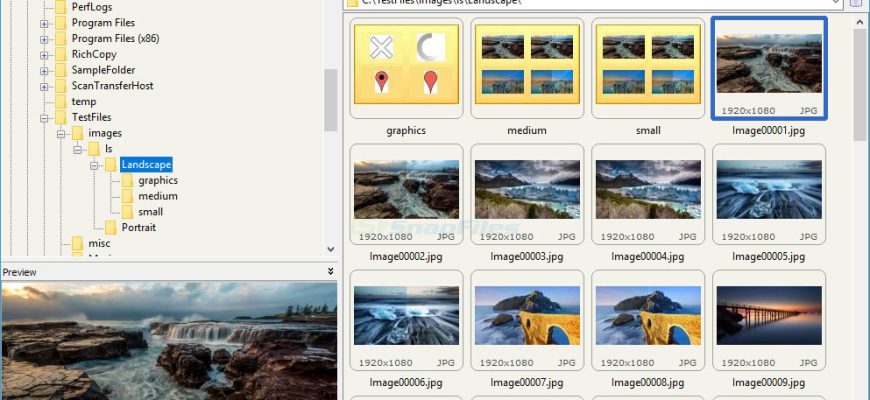 FastStone Image Viewer