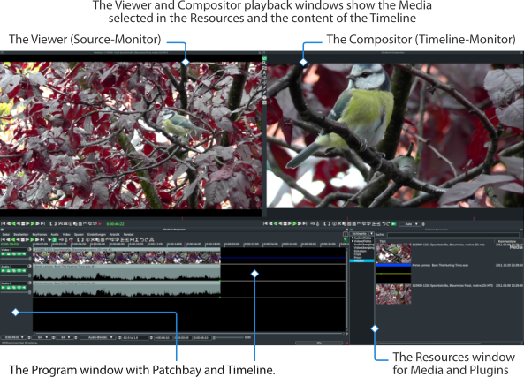 Четыре основных окна Cinelerra-GG Infinity: Viewer, Compositor, Program и Resources