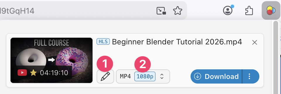 Элементы переименования и выбора формата Video DownloadHelper