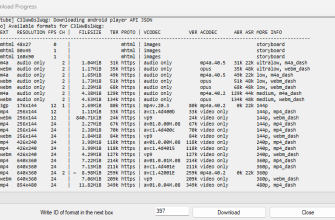 WebMConverter