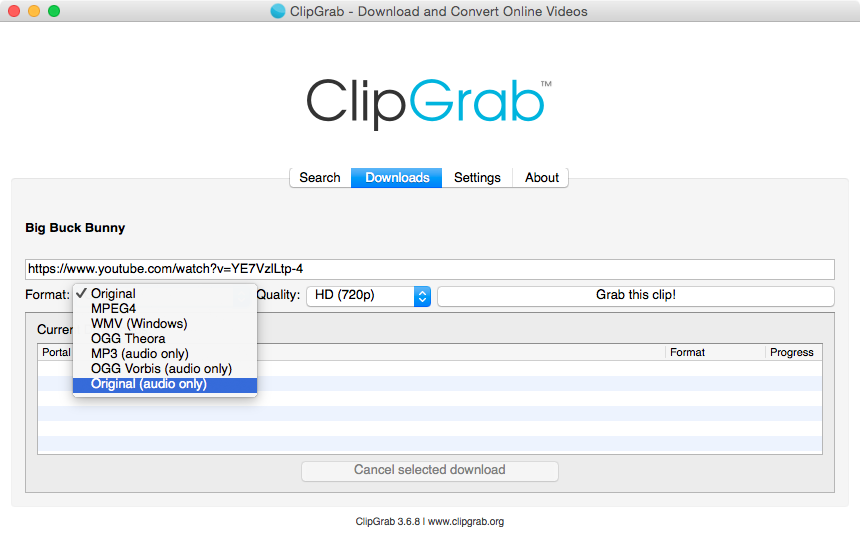 Официальный скриншот списка форматов ClipGrab 3